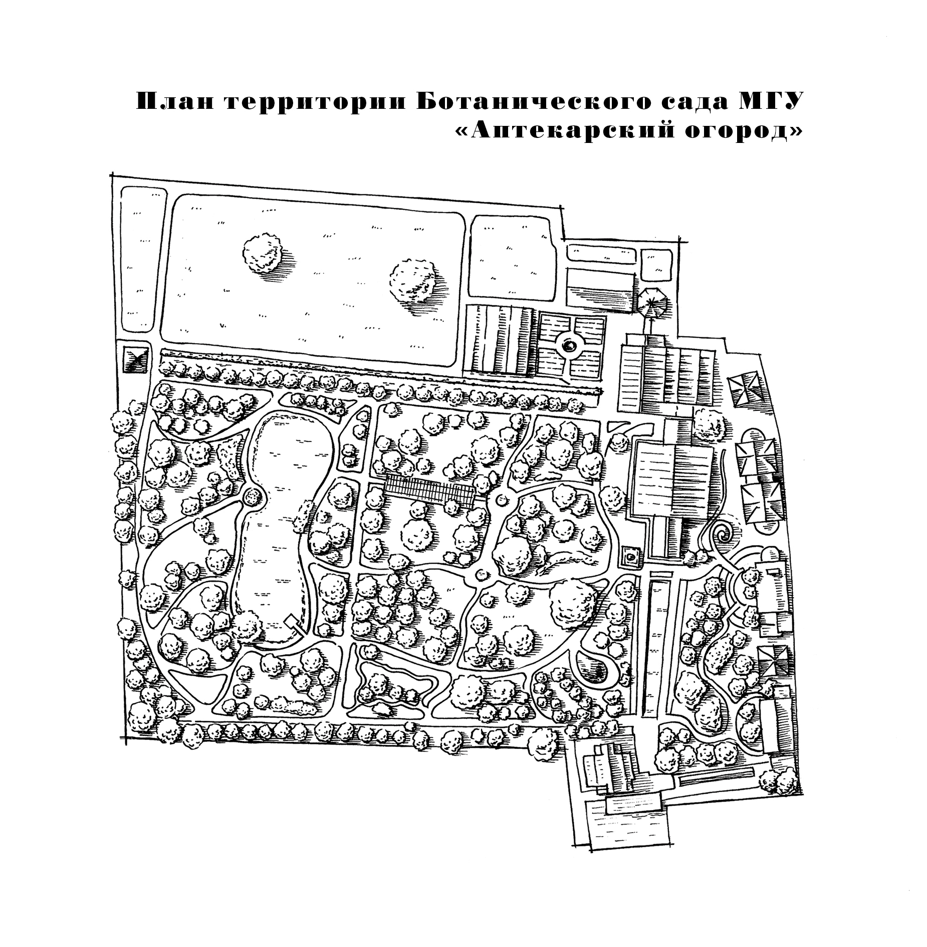 Схема ботанического сада мгу на воробьевых горах